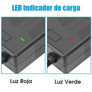 Cargador de Batería Cargador Eléctrico